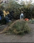 B-roll_2833929.jpg