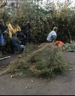 B-roll_2834029.jpg