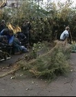 B-roll_2834229.jpg