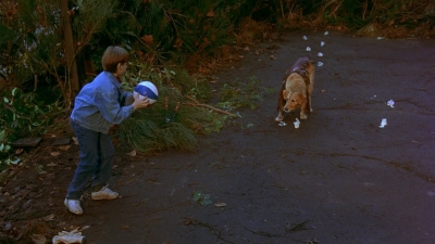 1997_-_Air_Bud_mp41242.jpg