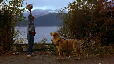 1997_-_Air_Bud_mp41266.jpg