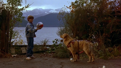 1997_-_Air_Bud_mp41276.jpg