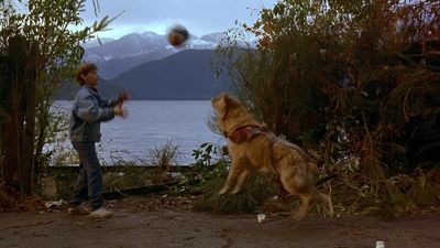 1997_-_Air_Bud_mp41277.jpg