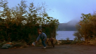 1997_-_Air_Bud_mp41282.jpg