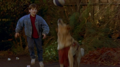 1997_-_Air_Bud_mp41316.jpg