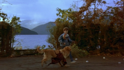 1997_-_Air_Bud_mp41322.jpg
