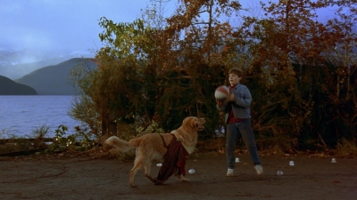 1997_-_Air_Bud_mp41323.jpg
