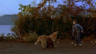 1997_-_Air_Bud_mp41324.jpg