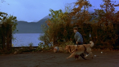 1997_-_Air_Bud_mp41327.jpg