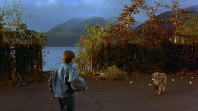 1997_-_Air_Bud_mp41341.jpg