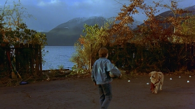1997_-_Air_Bud_mp41343.jpg