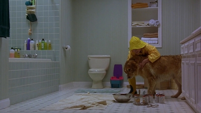 1997_-_Air_Bud_mp41411.jpg