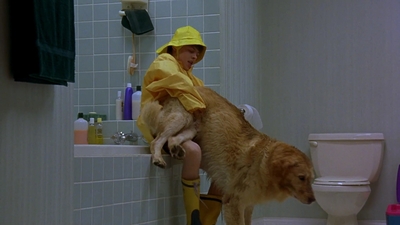 1997_-_Air_Bud_mp41426.jpg
