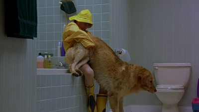 1997_-_Air_Bud_mp41427.jpg