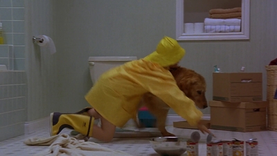 1997_-_Air_Bud_mp41433.jpg