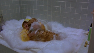 1997_-_Air_Bud_mp41472.jpg