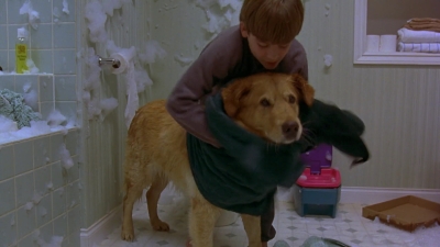 1997_-_Air_Bud_mp41493.jpg