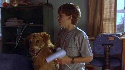 1997_-_Air_Bud_mp41503.jpg
