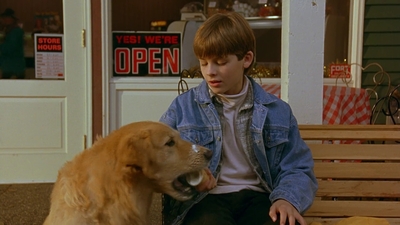 1997_-_Air_Bud_mp41715.jpg