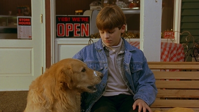 1997_-_Air_Bud_mp41716.jpg