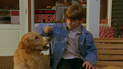 1997_-_Air_Bud_mp41717.jpg