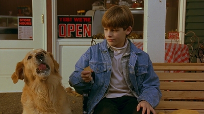 1997_-_Air_Bud_mp41718.jpg