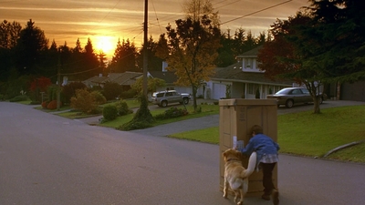 1997_-_Air_Bud_mp41734.jpg