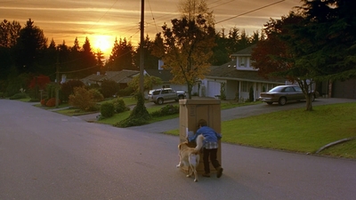 1997_-_Air_Bud_mp41735.jpg