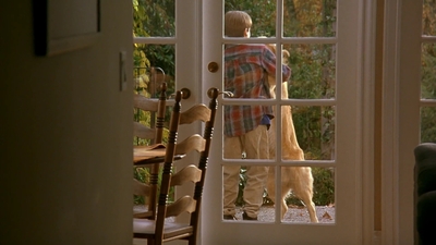 1997_-_Air_Bud_mp41903.jpg