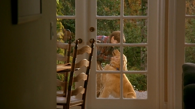 1997_-_Air_Bud_mp41916.jpg