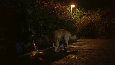 1997_-_Air_Bud_mp41996.jpg