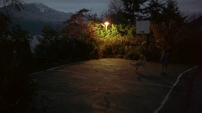 1997_-_Air_Bud_mp42005.jpg