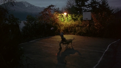 1997_-_Air_Bud_mp42007.jpg