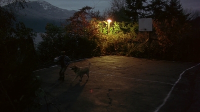 1997_-_Air_Bud_mp42008.jpg