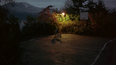 1997_-_Air_Bud_mp42014.jpg