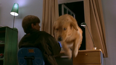 1997_-_Air_Bud_mp42080.jpg