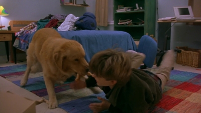 1997_-_Air_Bud_mp42087.jpg