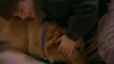 1997_-_Air_Bud_mp42090.jpg