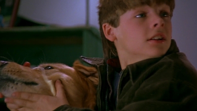 1997_-_Air_Bud_mp42100.jpg