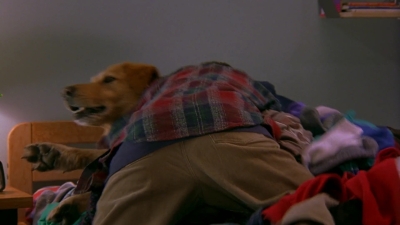 1997_-_Air_Bud_mp42154.jpg