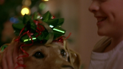 1997_-_Air_Bud_mp42563.jpg