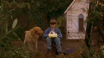 1997_-_Air_Bud_mp42612.jpg