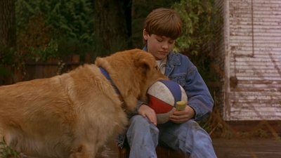 1997_-_Air_Bud_mp42630.jpg