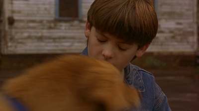 1997_-_Air_Bud_mp42631.jpg