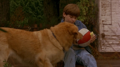 1997_-_Air_Bud_mp42639.jpg