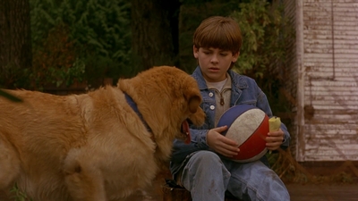 1997_-_Air_Bud_mp42640.jpg