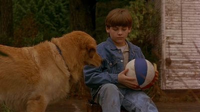 1997_-_Air_Bud_mp42645.jpg