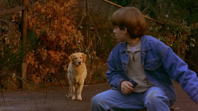 1997_-_Air_Bud_mp42665.jpg