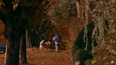 1997_-_Air_Bud_mp42726.jpg