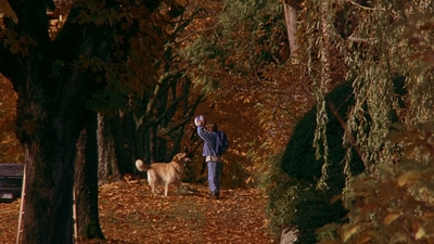 1997_-_Air_Bud_mp42727.jpg